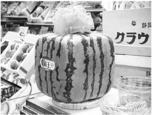 raciocínio lógico para o inss